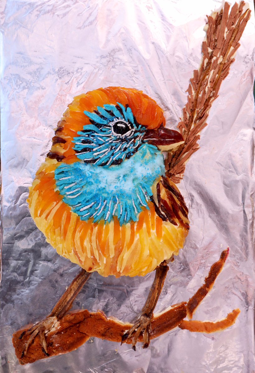 moth_nut's tweet photo. An #endangered emu-wren for the #TSBakeOff: a native lemon myrtle & lily pilly gluten-free #cake adorned with dried fruits, sweets and choc! https://t.co/zQnjvEFa5i
