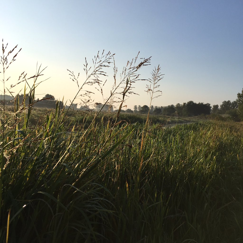 Emma Cook tweet media