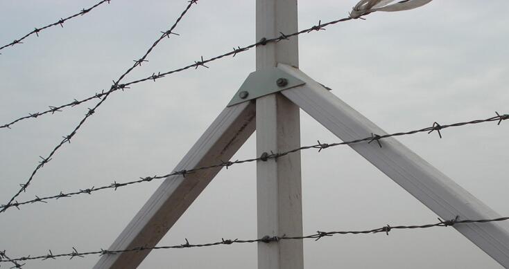 HelenSales01's tweet image. #pvcbarbedwire used in protecting of grass boundary, railway, Highway, national defense, airport, orchard, etc.