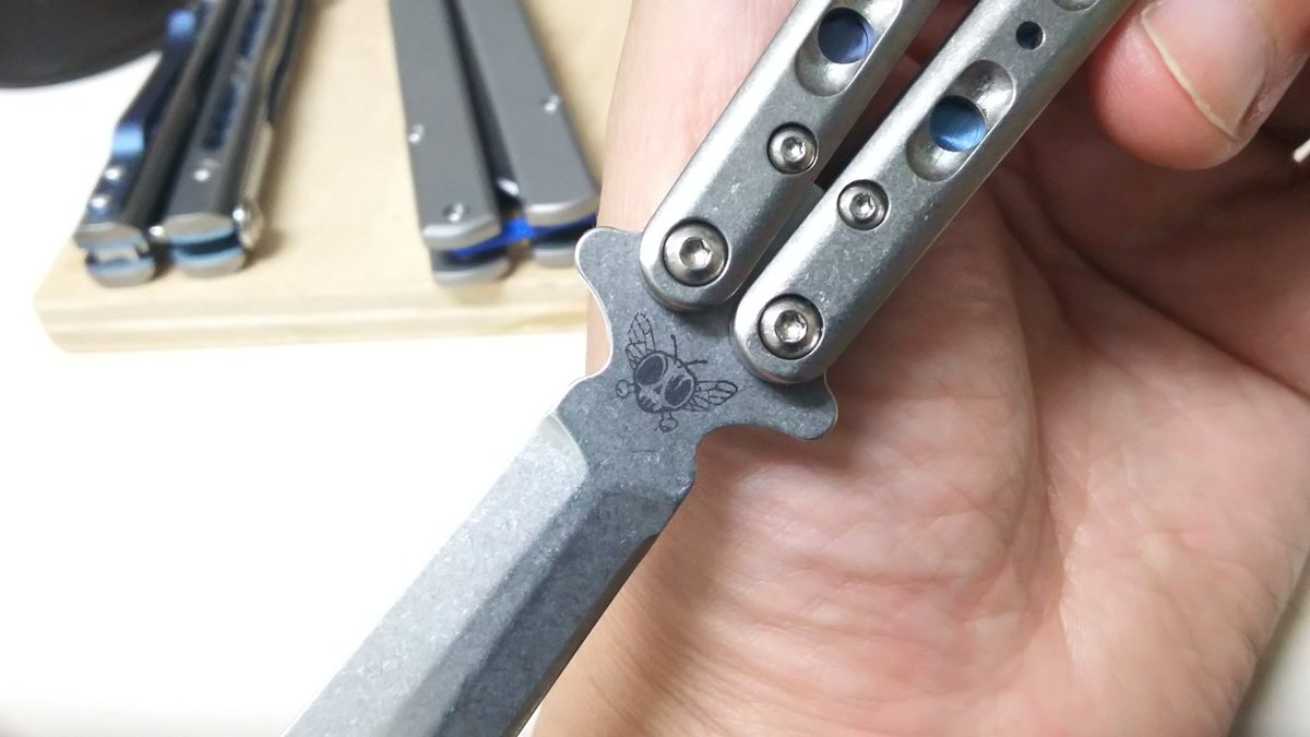 balisong_jp's tweet photo. 蝶々じゃないよ
蠅なんだよヽ(*´▽)ノ♪
#Flytanium #morpho https://t.co/VW1Ml4h8Nx