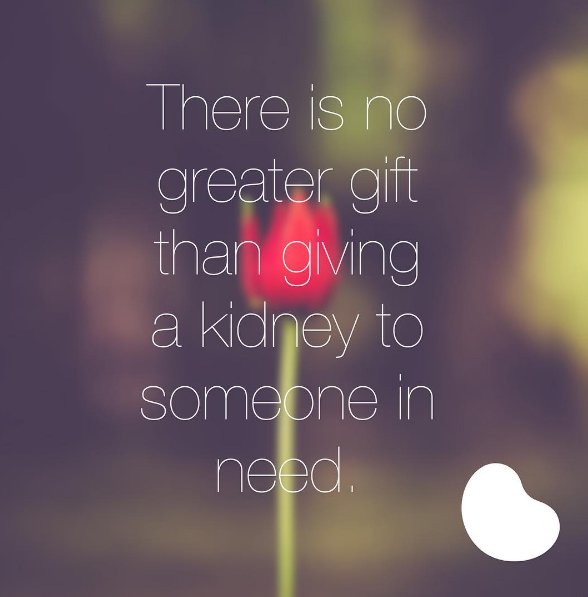 #WednesdayWisdom