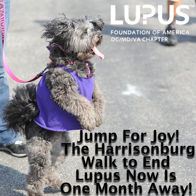 The Harrisonburg Walk to End Lupus Now is 1 month away! ow.ly/4Mtw30ehHYi