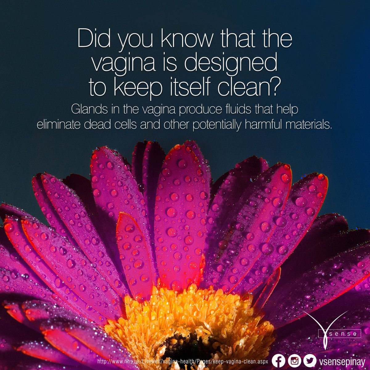 VSensePinay's tweet photo. Just another proof that our body is a wonderland, ladies! 🌸🌸🌸 #VSensePinay #VSenseIntimateGel #TurnLifeOn https://t.co/NvLTBenzfP