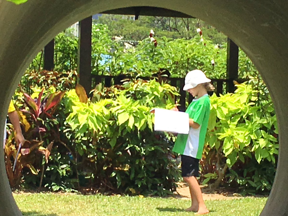 jennryner's tweet photo. Outside on a beautiful day for #OutdoorClassroomDay https://t.co/qMoTbskhWR
