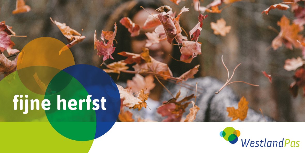 Ook in de herfst kun je hele leuke dingen doen in Westland. Geniet van dit mooie seizoen! #herfst #leukedingendoen #westland