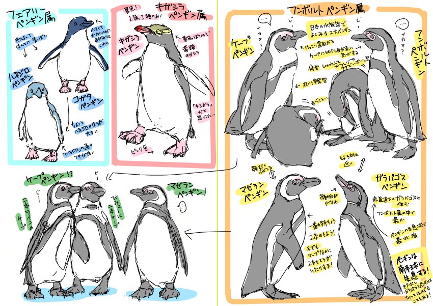 椎名くんの鳥獣百科 10巻限定版まとめ