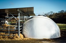 Calf Igloo have the Answer! #calfshelter #calfrearing #agriculture panelsandprofiles.co.uk/case_study/cal…