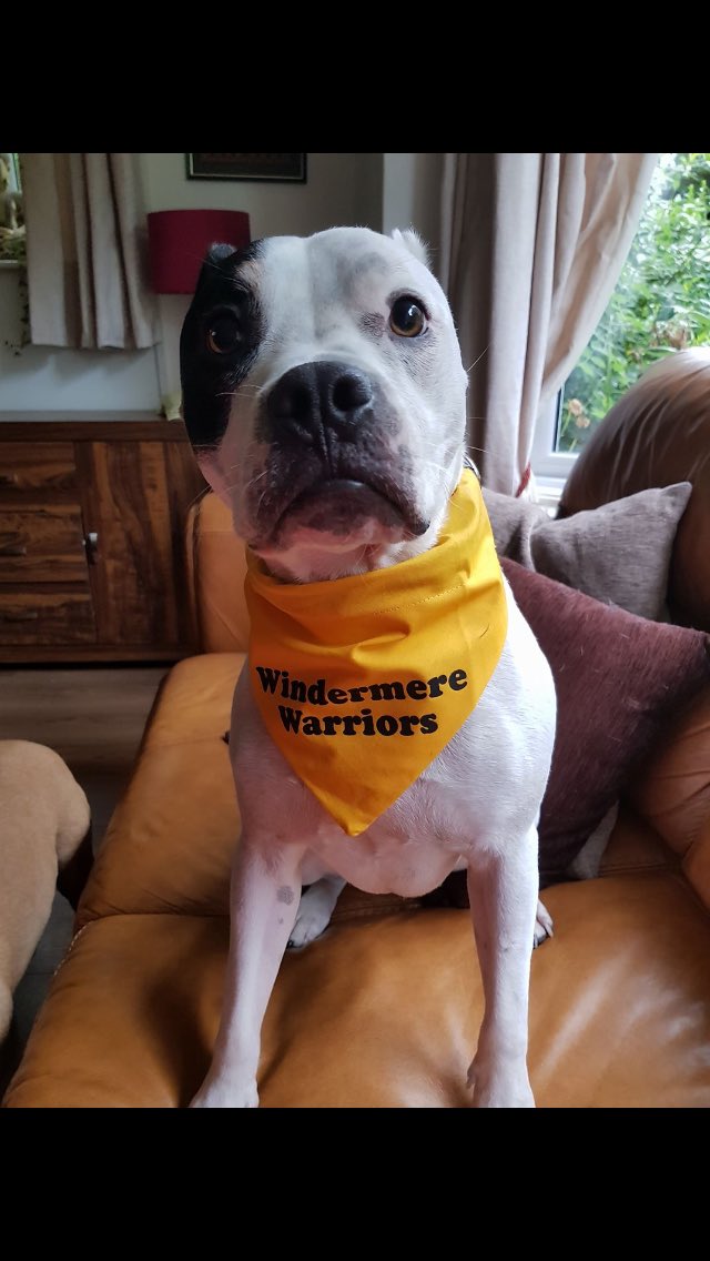wrufcwarriors's tweet image. Great session last night. More new faces,and old faces. Great fun and got through more technique and basic work. Ohh and a new fan #dog #Jef