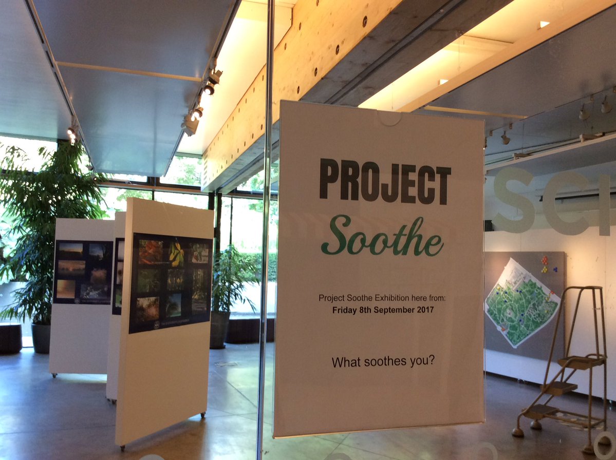 TheBotanics's tweet photo. Final preparations are underway as #ProjectSoothe exhibition opens tomorrow, #nature #mentalhealth #Wellbeing > https://t.co/x5Lpx3Koed https://t.co/uHSURj7DWT