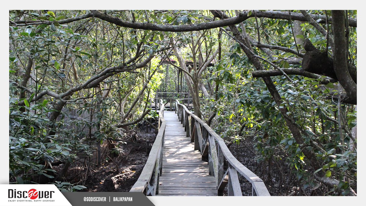 Hutan Mangrove Margomulyo, Wisata Alam Andalan di Barat