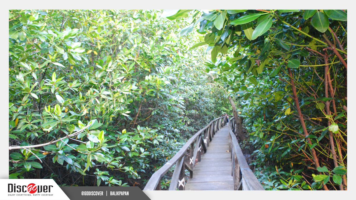 Hutan Mangrove Margomulyo, Wisata Alam Andalan di Barat