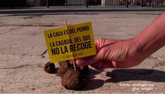 guardiacivil's tweet photo. Caminas tranquilamente y 💩choff...
Ahora imagina que tienes una discapacidad visual...
Horrible escena ¿verdad?
Hazlo por ellos, #Recógelas💩 https://t.co/3Nm4gFFObH