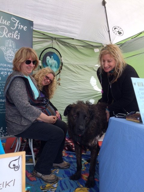 Animal Reiki at Willunga Quarry Market 9am-1pm Sat 9th Sept
  facebook.com/bluefirereiki
  bluefirereiki.com.au
facebook.com/willungaquarry…