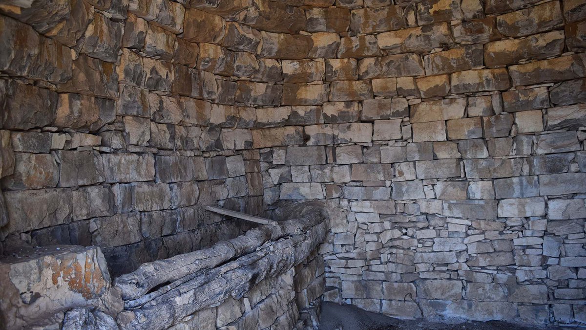 Som Segarra tweet media