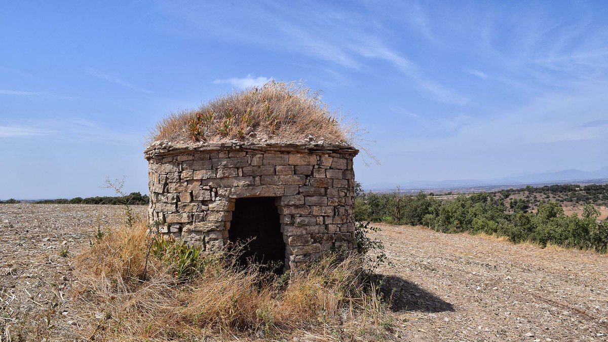 Som Segarra tweet media