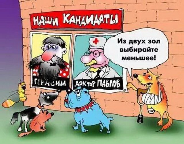 СмутноеВремя tweet media