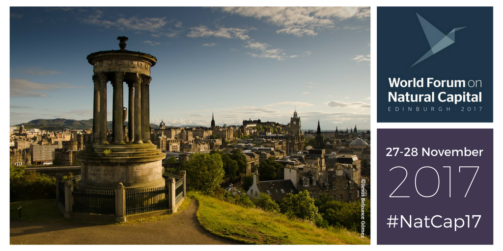 World's leading event on #NaturalCapital is in Scotland this November - Here's why you should attend: naturalcapitalforum.com/why-attend/