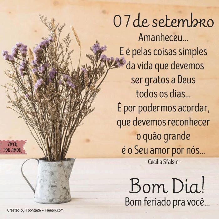 Graça Pimenta on Twitter: Graça Pimenta on Twitter: