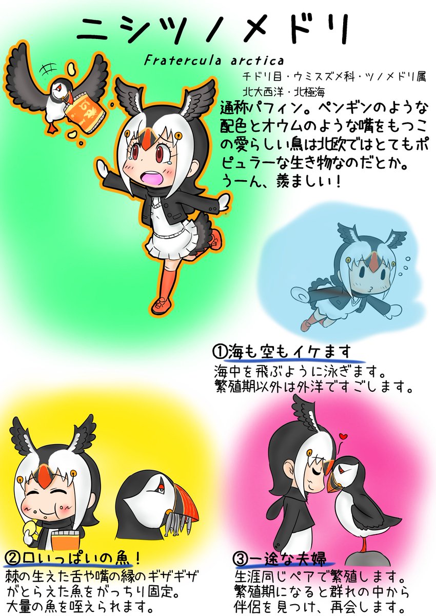 だしまき パフィンことニシツノメドリのおはなし けものフレンズ ニシツノメドリ フレンズでわかるシリーズ T Co D7izjz0fa3 Twitter だしまき パフィンことニシツノメドリのおはなし けものフレンズ ニシツノメドリ フレンズでわかるシリーズ T Co D7izjz0fa3 Twitter