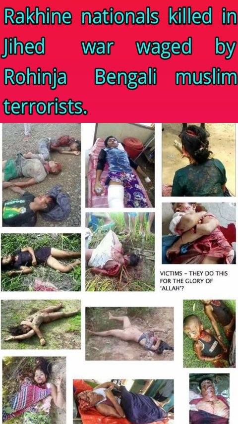 #Myanmar
We must kill Rohinja muslim terrorists.