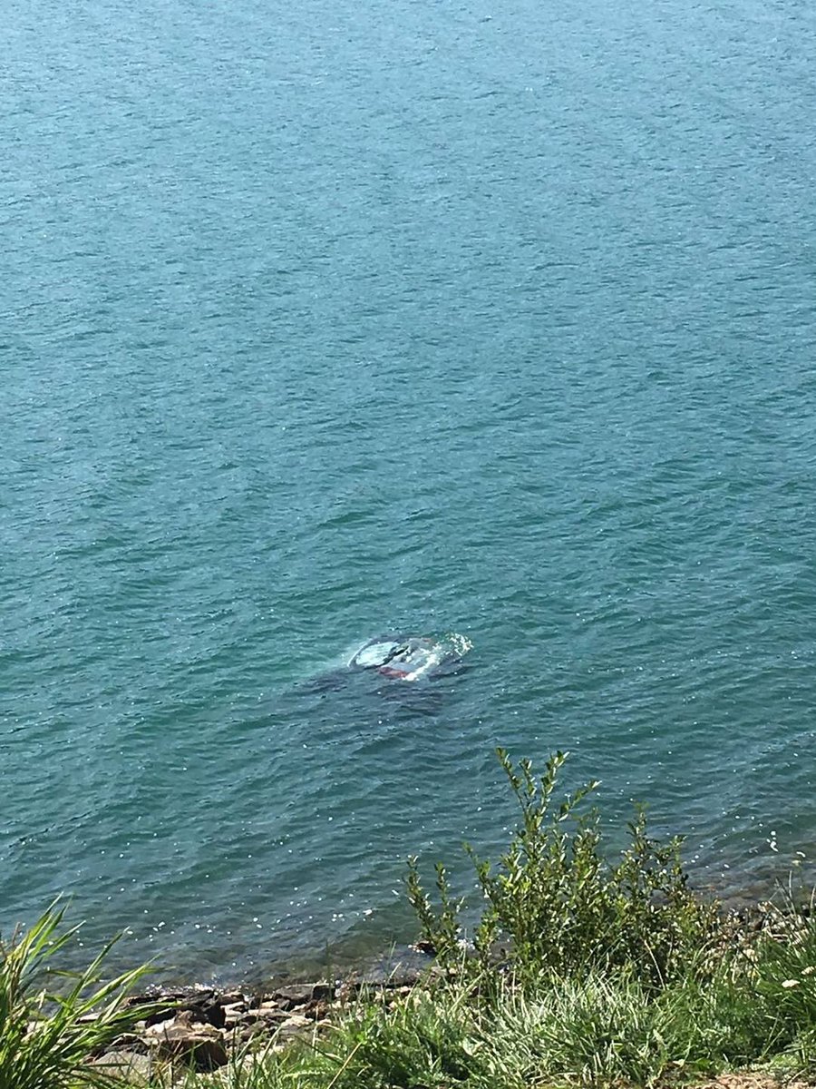 HerberMax's tweet photo. Con l'auto nel Lago Cadagno #ultimora https://t.co/AmSodTnEB0 https://t.co/Nj1AEUH394