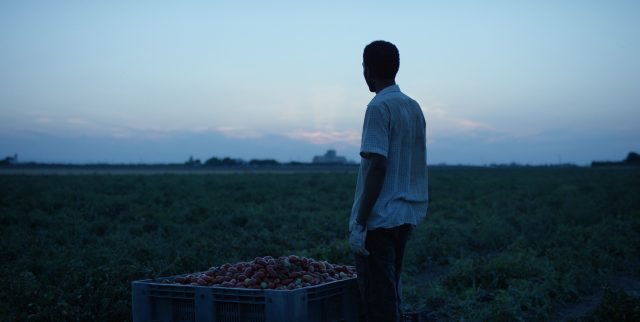 Oggi al Festival di Venezia #Jululu con il ns vicepresidente Yvan Sagnet! No al caporalato! <a href="/ConsoliZero/">Angelo Consoli</a> e <a href="/AntonioRancati/">Antonio Rancati</a> Grazie <a href="/Sestilia/">Sestilia Pellicano</a>