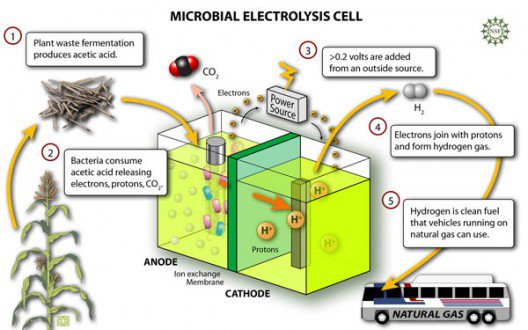#Biofuelproduction #microbialeloctrolysiscell #20timesincreasedproduction
Details
bit.ly/2xJ9sOk