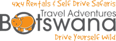 When it comes to #selfdrive #safaris - the future's bright, the future's #orange!