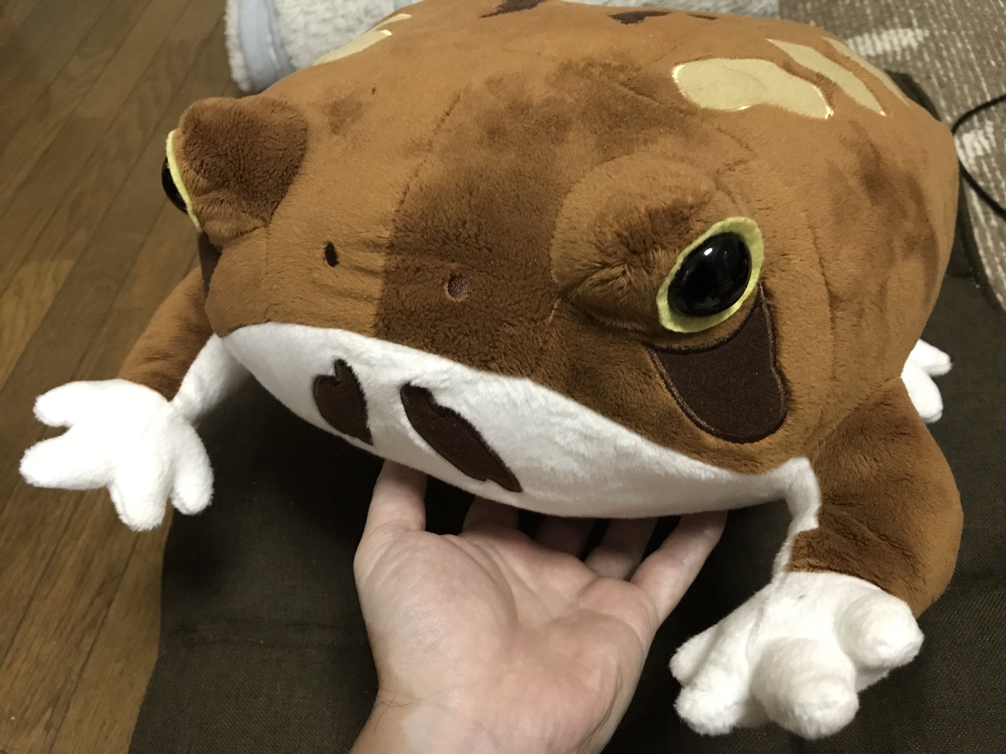 アメフクラガエル とえ ハンドマフ