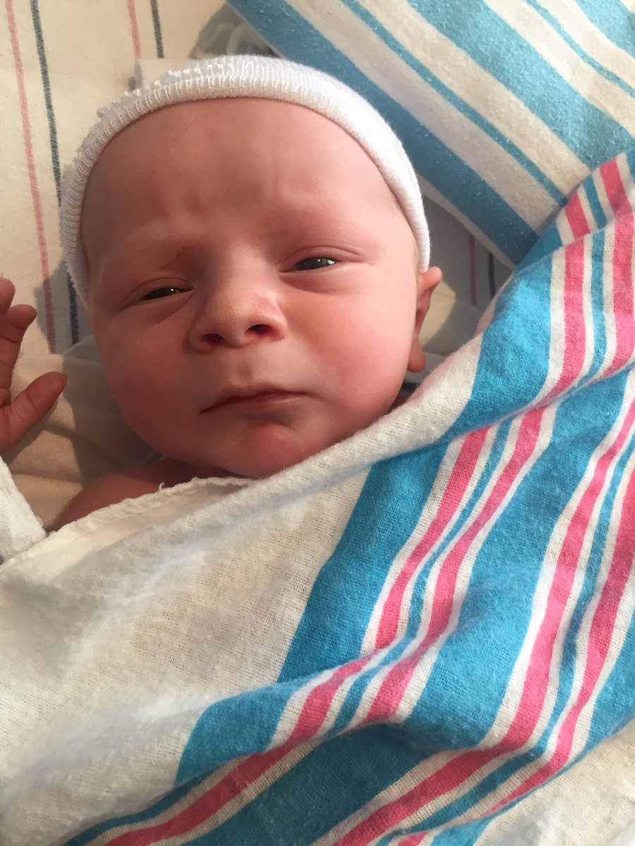 Kristenbeatty17's tweet photo. This little #digibaby arrived right on time 9/5 weighing in at an impressive 8 lbs and 5 oz. All are healthy and happy! #digiURI https://t.co/IljQasEfUv