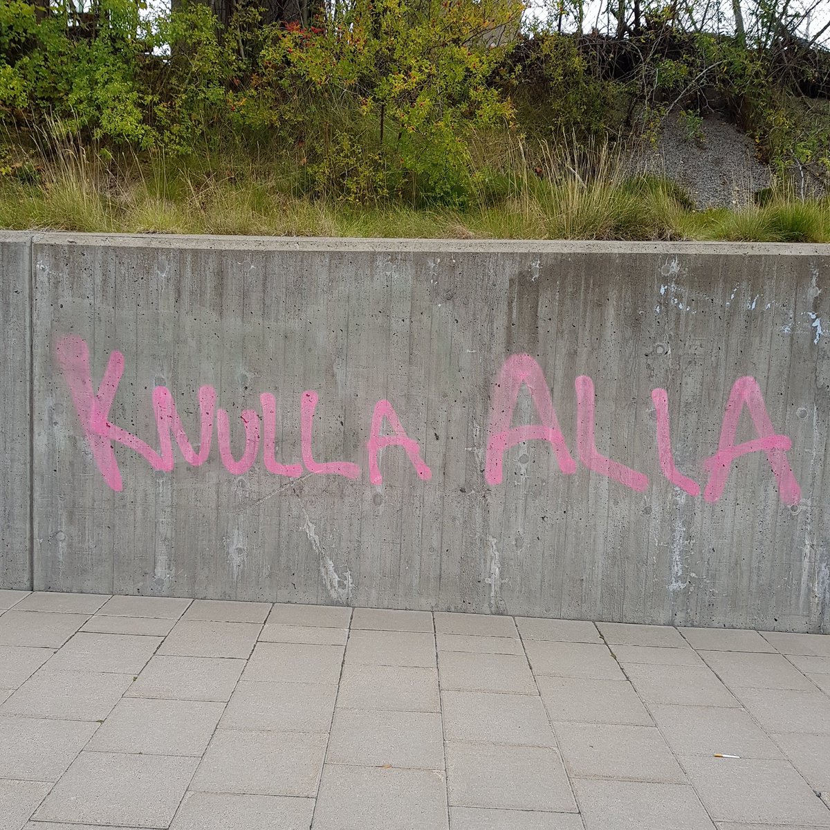 Jonas_Gardell's tweet photo. Härligt att det fortfarande finns människor som kämpar för ett inkluderande samhälle! https://t.co/sXrP5aSeme