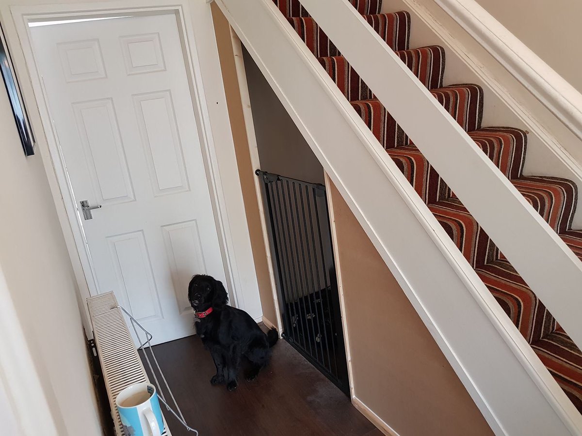 My new bedroom has been built under the stairs! Just needs painting and some personal touches 🐶🐾