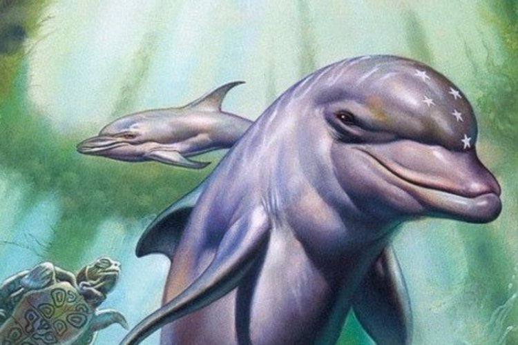 Any idea what the name of this famous dolphin is? (Hint: He's from a renowned '90s video game.)