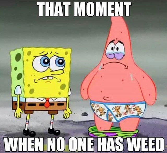 Don't let this be you and your crew! Come visit our budtenders <a href="/bud_hut/">Bud Hut Everett</a> - bit.ly/2hBfqgg