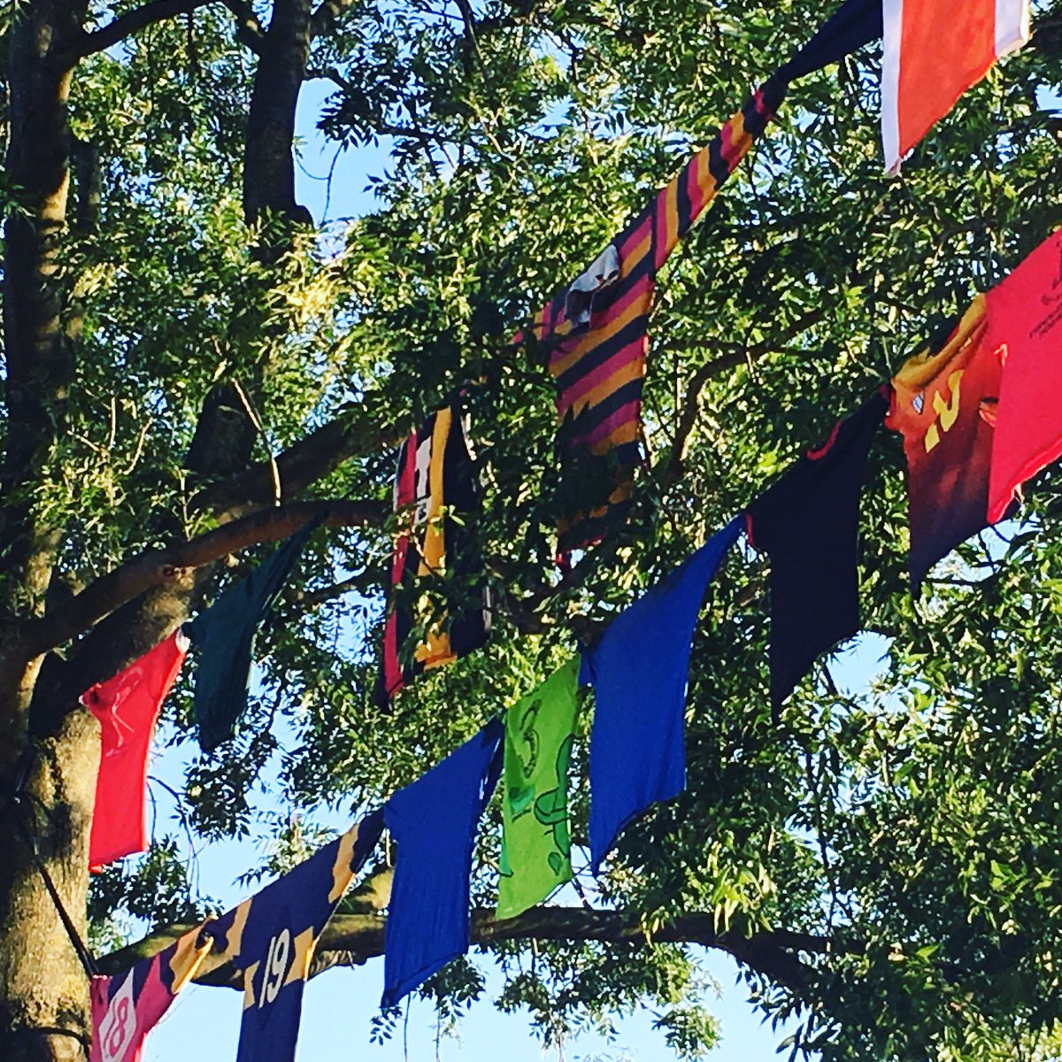 50-jarig bestaan in aantocht! 9/09 groots feest! #rugbynl #rugbyrules #Sport050