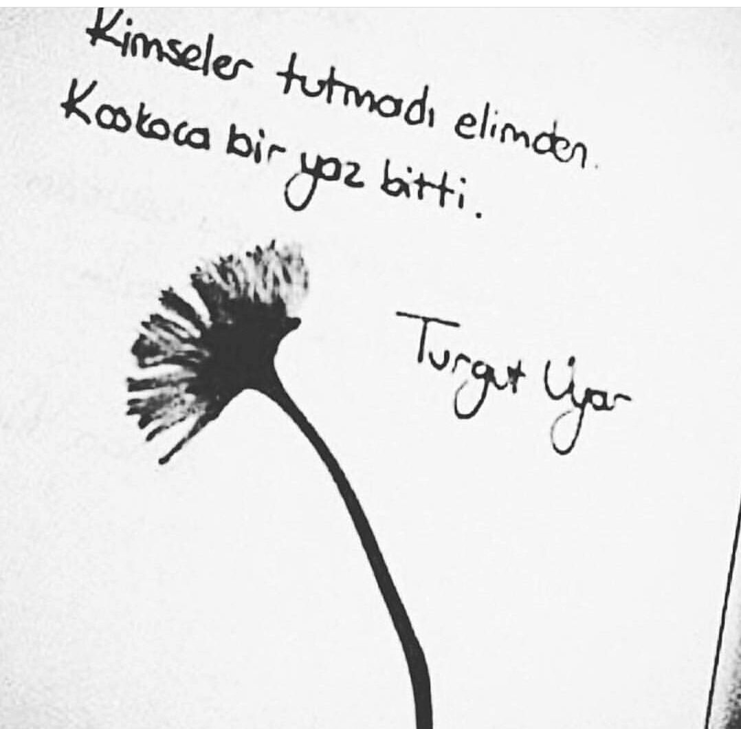 Kimseler tutmadı elimden.
Koskoca bir yaz bitti. 

Turgut Uyar