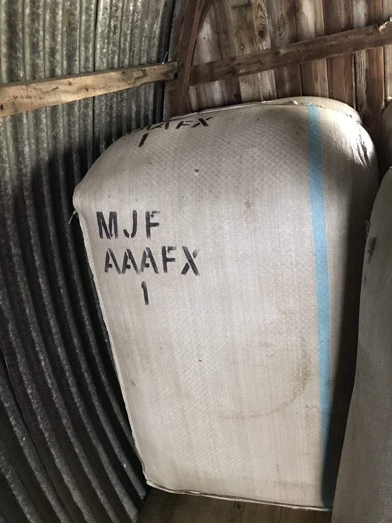 johnsonsharbour's tweet photo. #shearing season about to begin here in the #Falklands first lot of #wool pressed soon to be a full bale floor. #bringiton @vikkileefi falkl https://t.co/XISq2C3OON