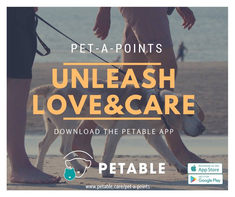 Raystede's tweet photo. We are part of @PetableCare Unleash Campaign. By signing up to the app you can choose to donate meals to our animals https://t.co/U7w1wtuJbb https://t.co/cU1umWSkcF