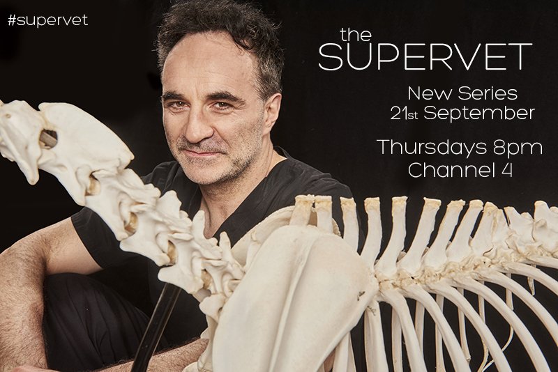 ProfNoelFitz's tweet image. Bring it on Series 10!
New episodes of #supervet starting September 21st on @Channel4