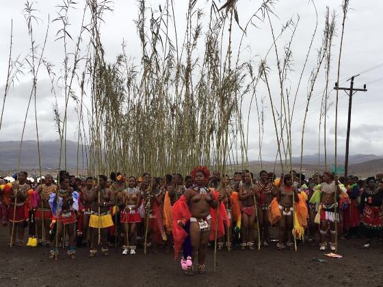 ECR_Newswatch's tweet photo. Preparations for the 33rd edition of the Reed Dance (Umkhosi Womhlanga) are underway as the event draws nearer. https://t.co/EoqGIqhzKr https://t.co/9c3ATBjX27