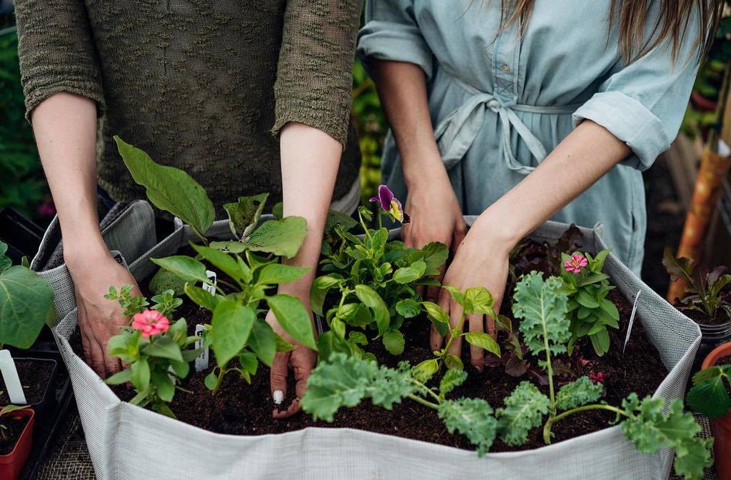 Comment améliorer notre environnement en ville?
<a href="/stories/">Stories</a>.mtl a rencontré notre fondatrice pour parler de jardins u… ift.tt/2wKj7FV