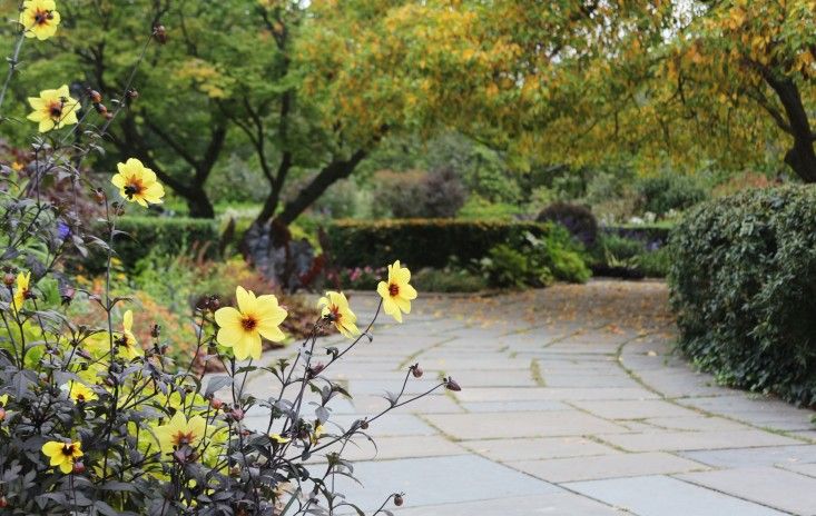 TopKWBroker's tweet photo. Color Theory: 10 Perfect Plant Combinations for Autumn https://t.co/rCNarwWgXI https://t.co/Ket588IGvS