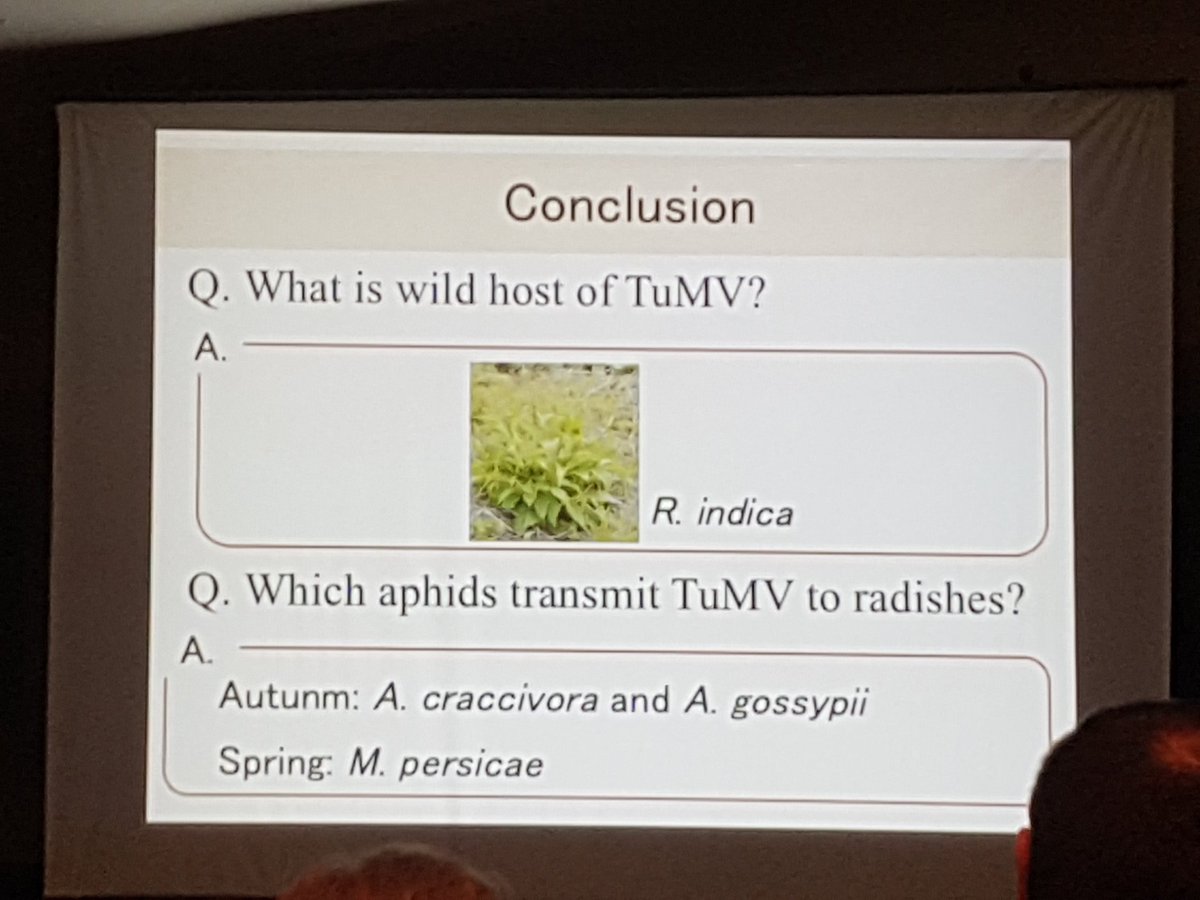 sanaahadidi's tweet photo. Last talk for today #10ISA by Makoto TOKUDA from Japan about whild host and aphid vectors of turnip mosaic potyvirus https://t.co/LWLUSy4u3F