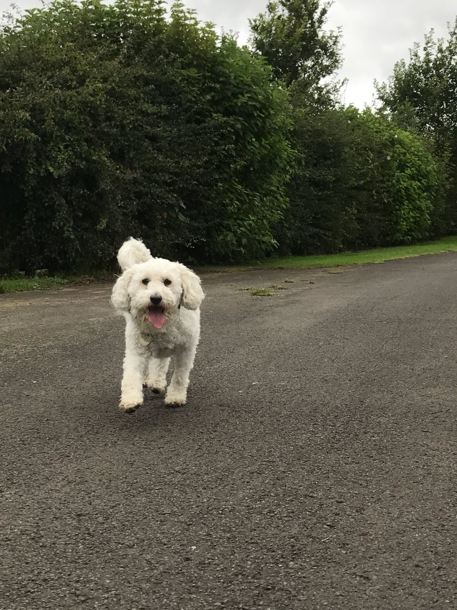 Diggler630's tweet photo. #Diggler630 #stellapoo https://t.co/vrdCXGOEd3