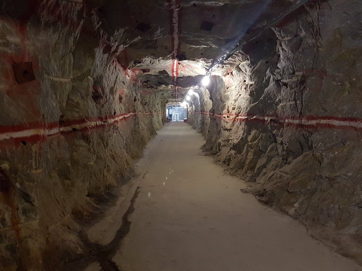 Our first photo competition entry! 
Adriaan van Zyl of OHMS took these photos at Gold Reef City while doing a routine investigation