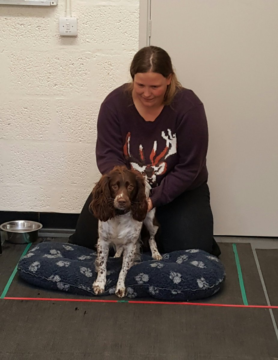 littletallack's tweet photo. Thanks to Winnie and Helen, such willing participants in my #doganxietystudy #caninescience I'm going to miss that cute face ππΆ https://t.co/t5xtr54nO9