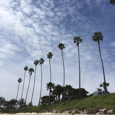 PlantBasedAce's tweet image. #NewProfilePic