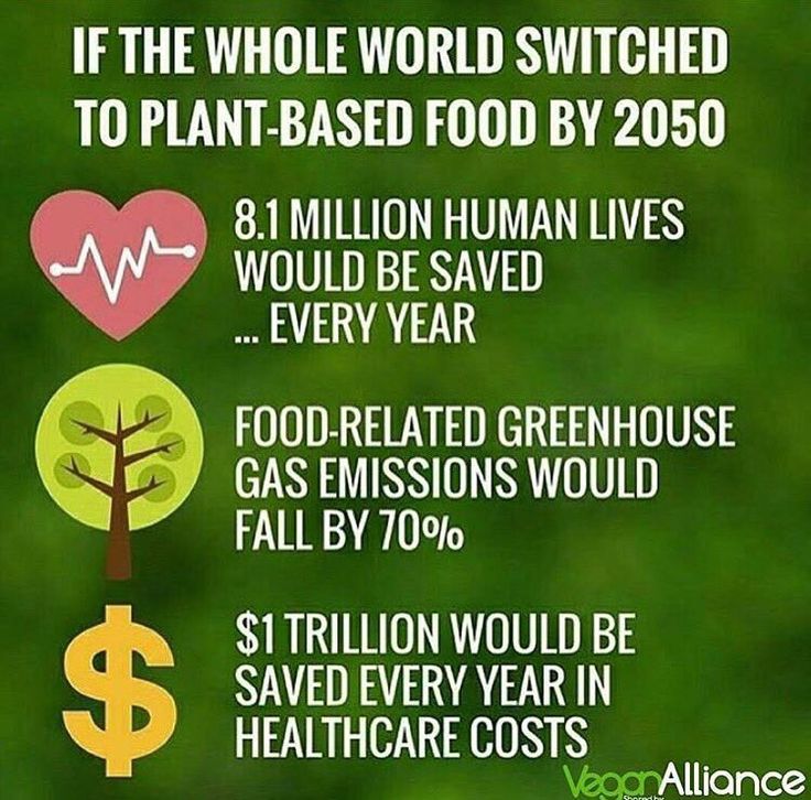 Nafsika Antypas (@nafsikaantypas) on Twitter photo 