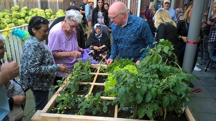 EnschedeWest's tweet photo. Vanmiddag is de #MiniMoestuin in #Pathmos officieel geopend! #Devio @WijkraadPathmos @jijmaaktdebuurt @Alifawest https://t.co/SHUK1nAh0A
