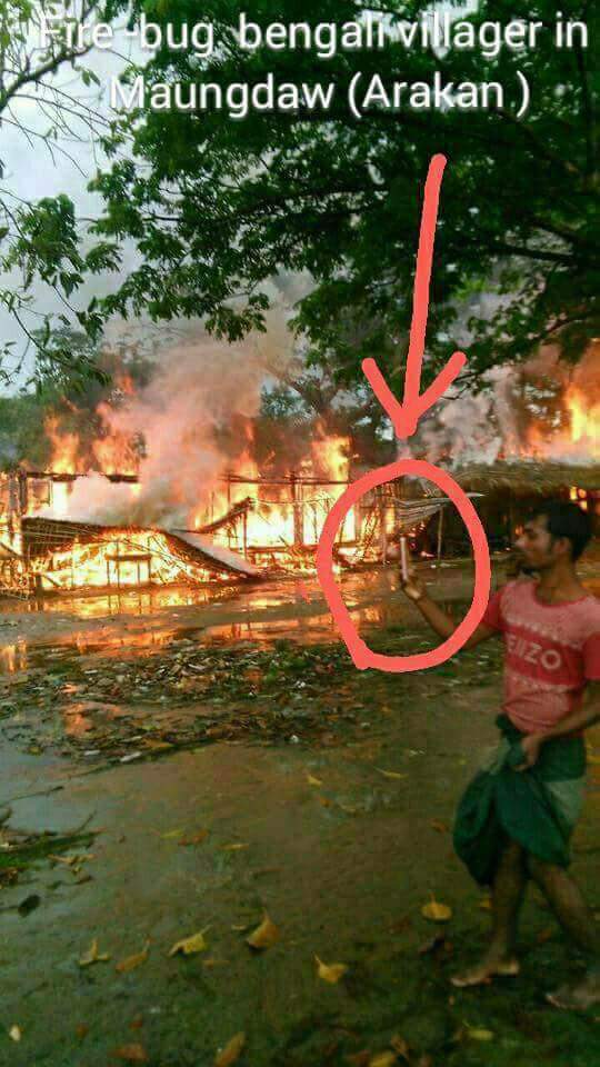 Hey world ' You are receive 
Bengalis (that so rohingya). They are ready detonate ​a bomb
reacts your country.